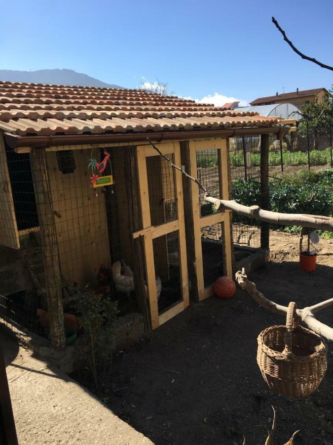 Buonocore Rooms Santa Maria La Carità エクステリア 写真